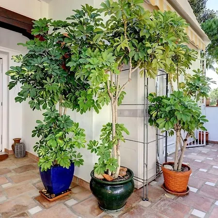 Elegant 2 Bedroom Ph In Serene Urb El Presidente Rdr521 公寓 *